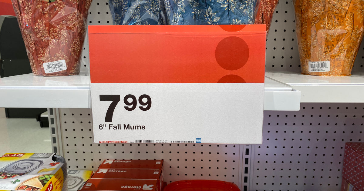 price tag for mums at target