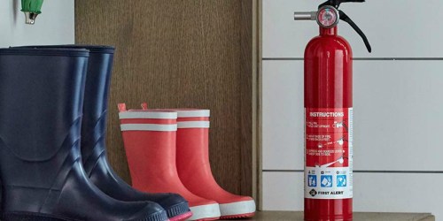 First Alert Standard Home Fire Extinguisher Only $9.99 at Ace Hardware