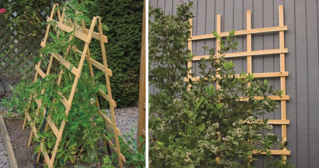 Up To 75 Off Garden Trellises At Lowe S Hip2save