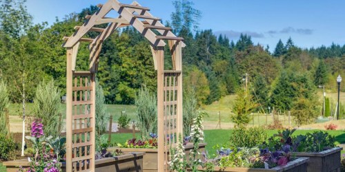 Up to 75% Off Garden Trellises at Lowe’s