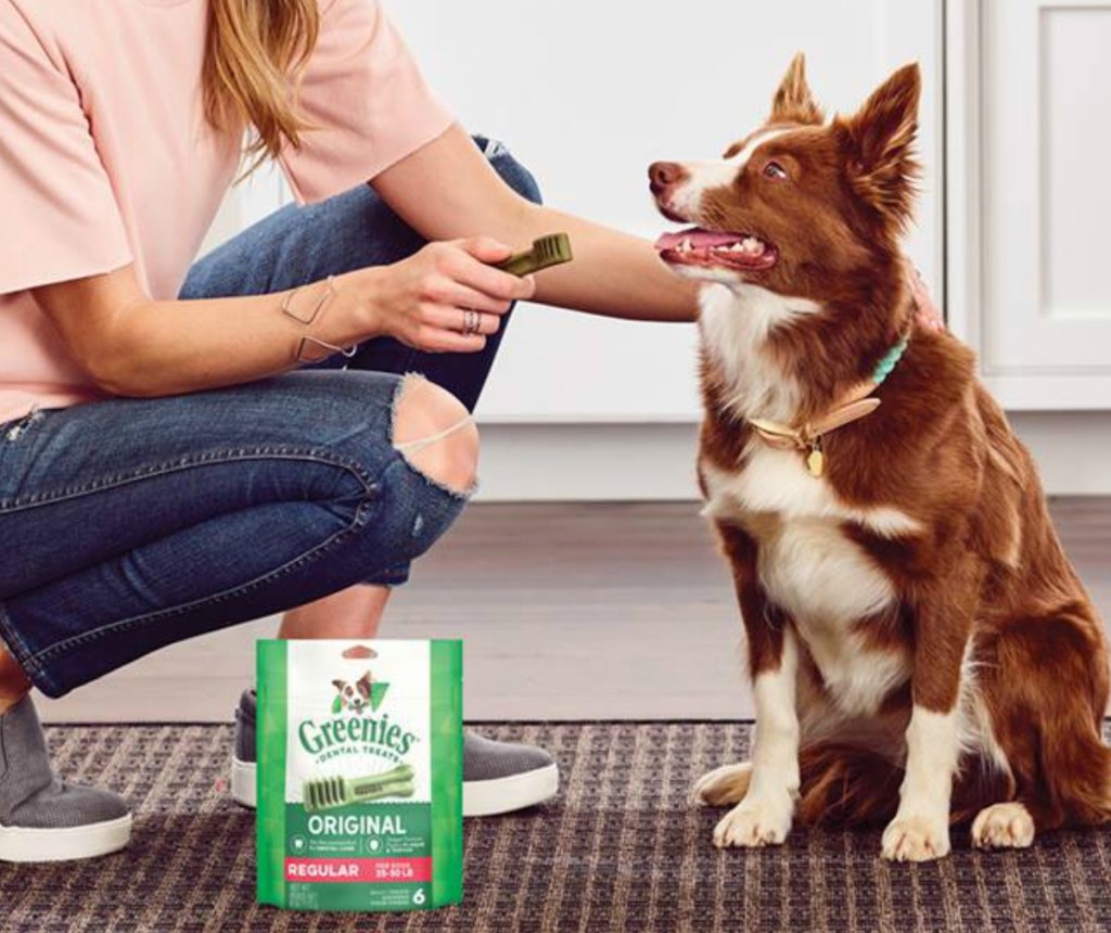 Woman giving dog a dental chew 