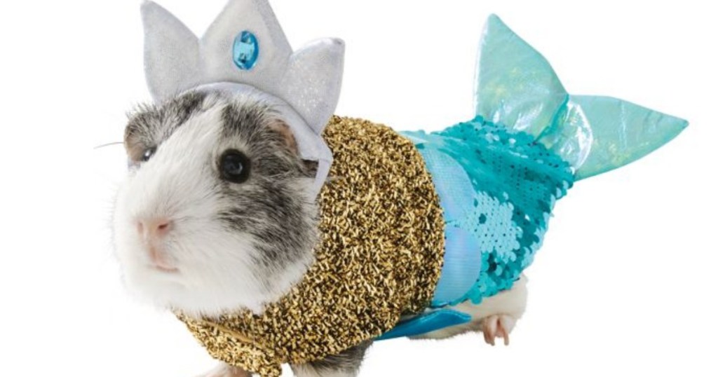 Hamster Mermaid Costume