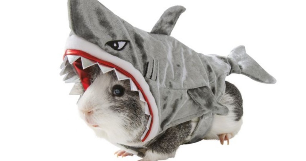 Hamster Shark Costume