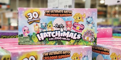 Hatchimals CollEGGtibles 30-Count Only $29.99 at Costco + More