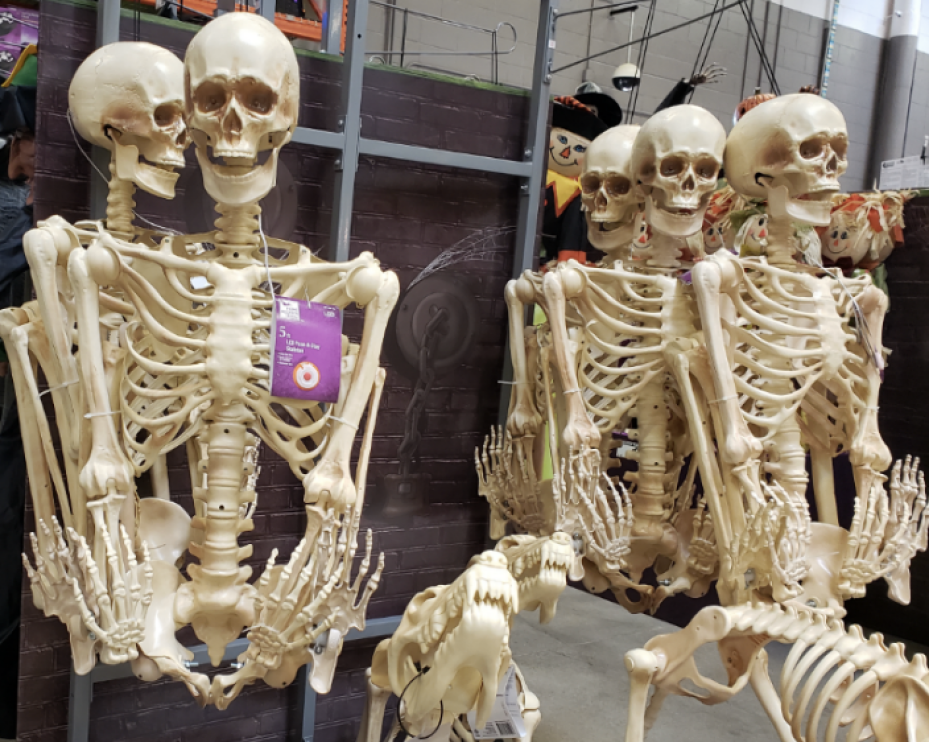 Poseable 5-Foot Skeleton with LED Illumination at Home Depot