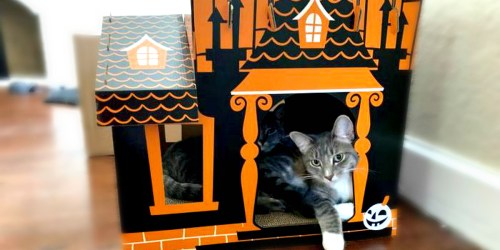 Target Sells a Halloween Haunted House for Your Cats