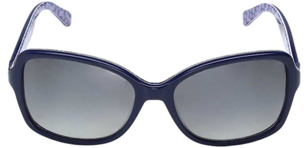 Kate Spade Ayleen Polarized Blue Palladium Sunglasses