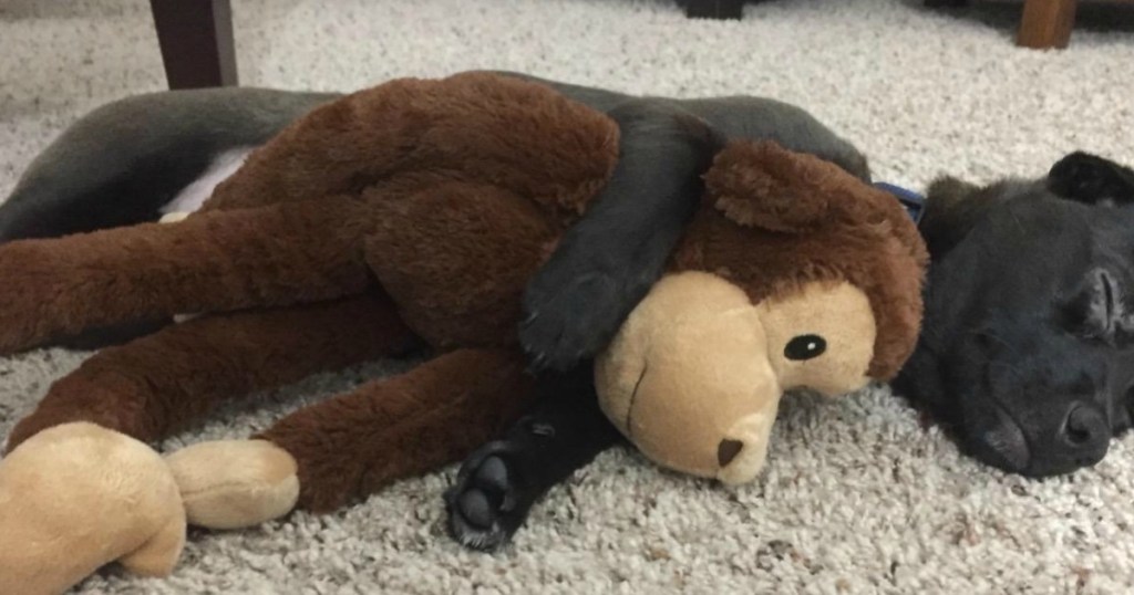 Monkey Dog Toy in sleeping dog's paws