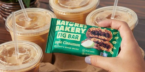 Nature’s Bakery Apple Cinnamon Fig Bars 12-Pack Only $4.75 Shipped at Amazon