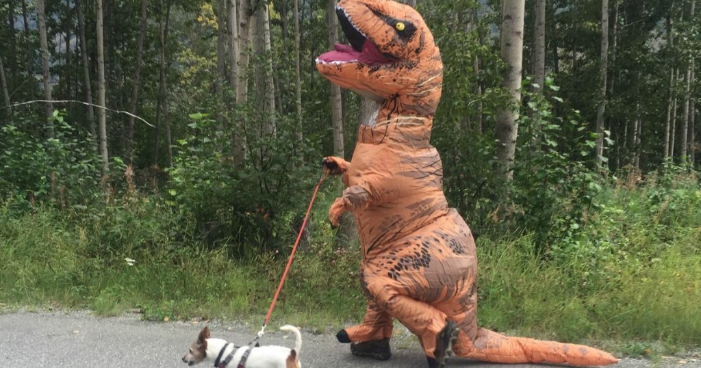 person wearing Rubie's Inflatable T-rex costume while walking their dog