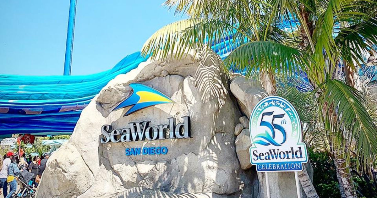 Sea World San Diego offers a teacher discount