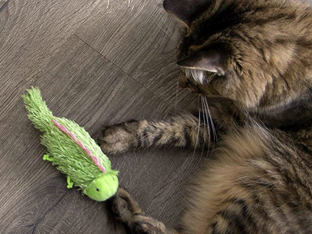 Large long-haired cat playing with a fuzzy lizard toy