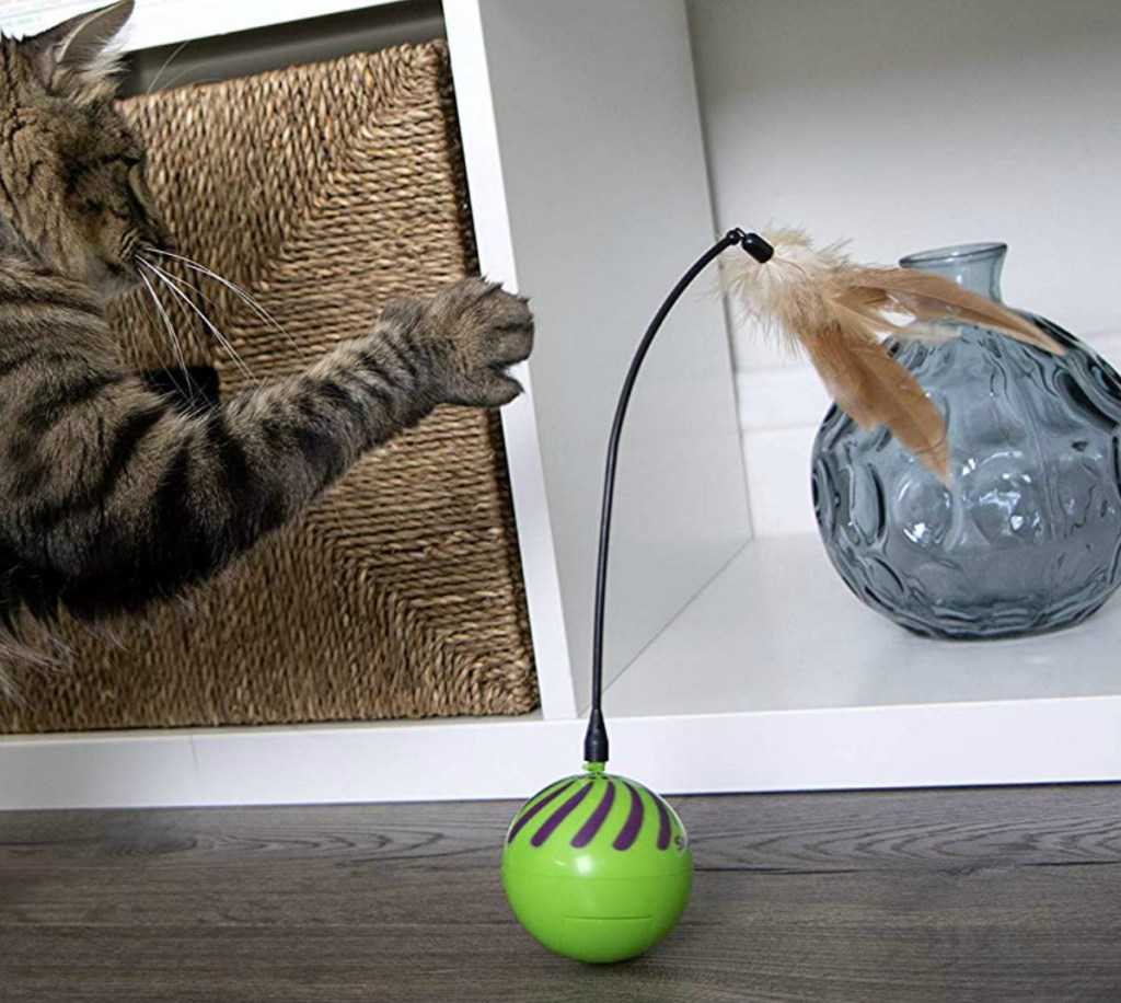 Large long-haired cat playing with a spinning cat toy with feather on top