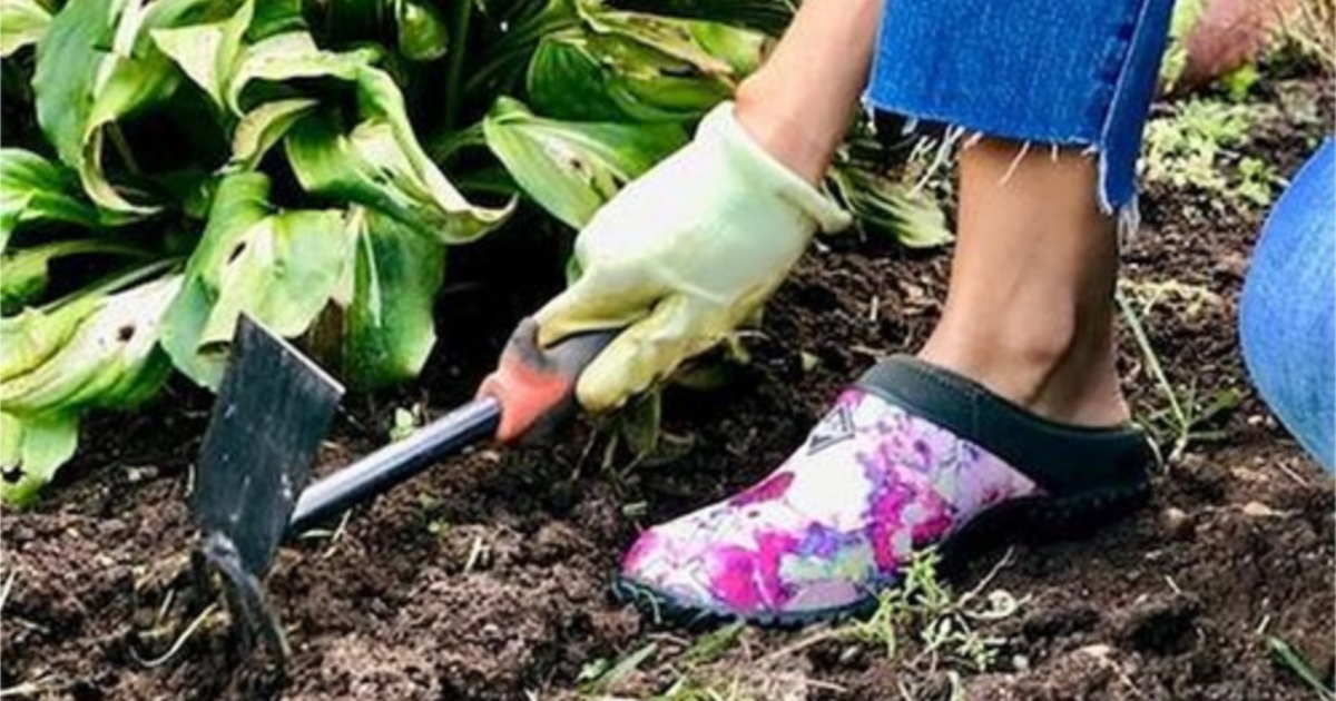 muck boot clogs