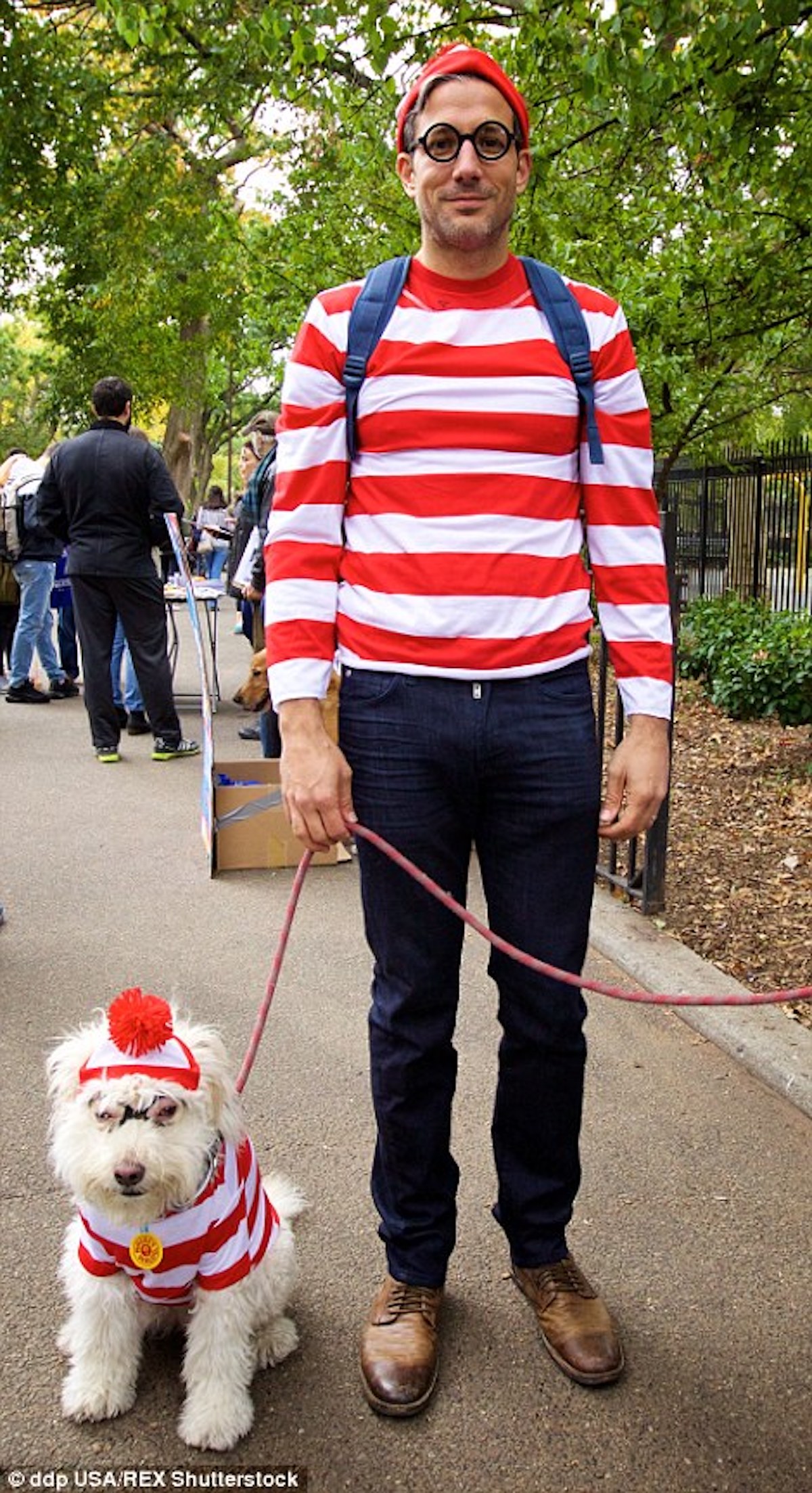 waldo dog costume