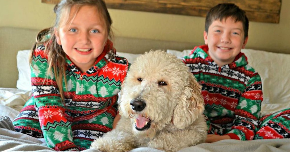 goldendoodle pajamas