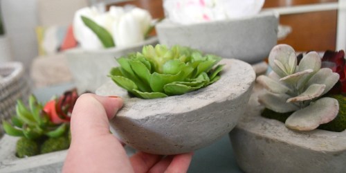 These DIY Concrete Planters Cost Less Than a DOLLAR to Make!
