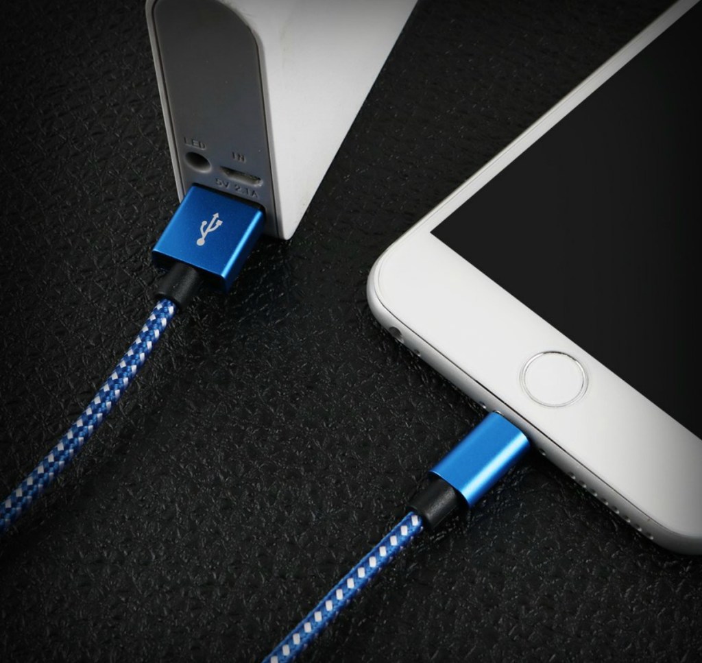 iPhone Charger in blue and white