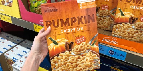 SIX Pumpkin Grocery Items to Score at ALDI | Pumpkin Cereal, Pumpkin Creamer & More