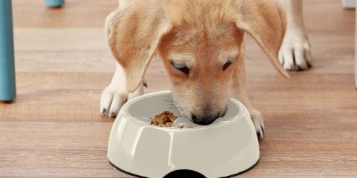 Up to 75% Off Pet Bowls & Dishes at Amazon