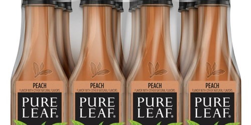 Pure Leaf Iced Tea Bottles 12-Pack Just $7.97 Shipped at Amazon | Only 66¢ Per Bottle