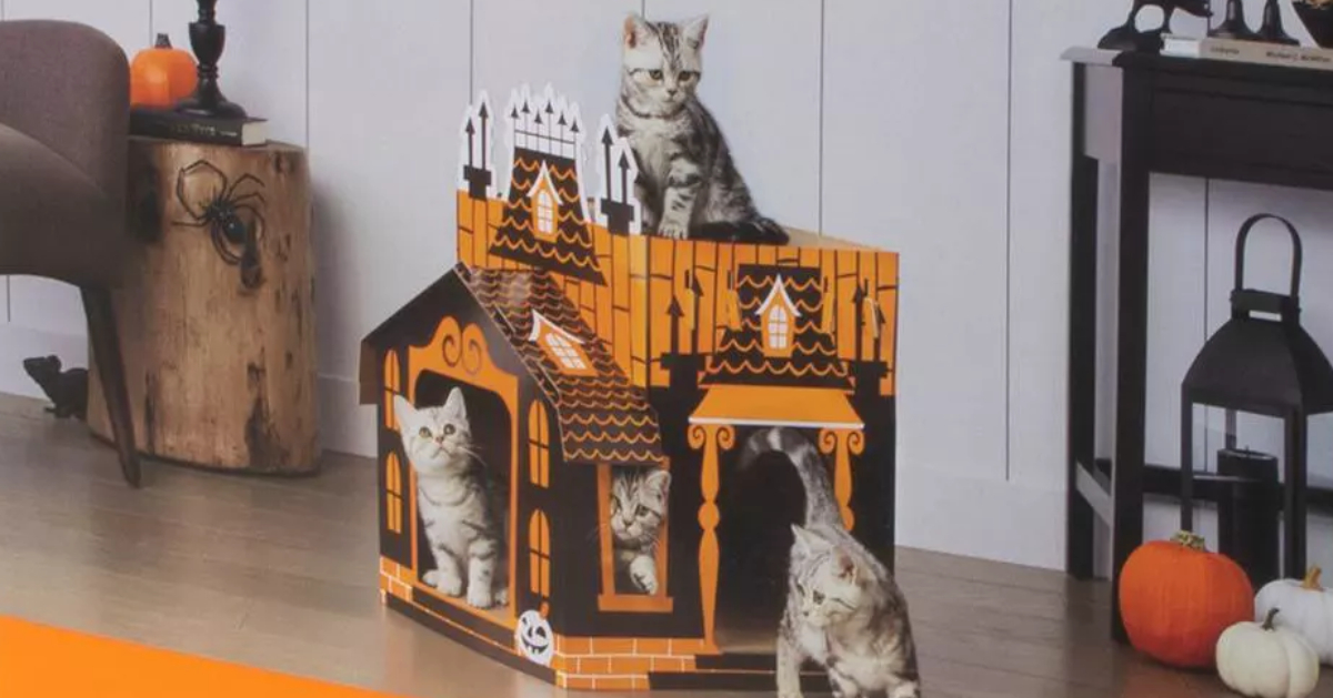 Target Sells a Halloween Haunted House for Your Cats