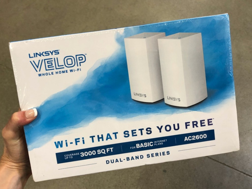 hand holding box with wifi system in it