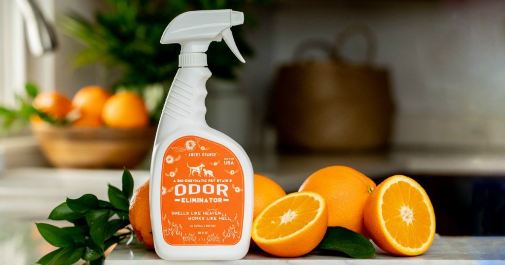 Angry-Orange-Odor-Eliminator