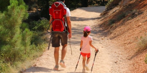 TrailBuddy Trekking Poles 2-Pack Only $31 Shipped at Amazon