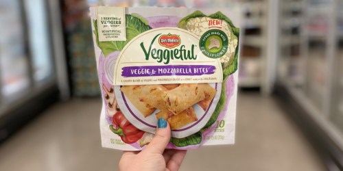 New $0.75/1 Del Monte Veggieful Bites Coupon = as Low as $1.39 at Target