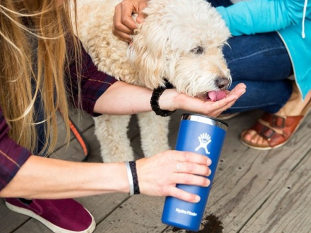 Girl holding blue hydro flask with dog