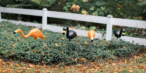 Spooky Flamingos 10-Pack Only $39.98 Shipped + More