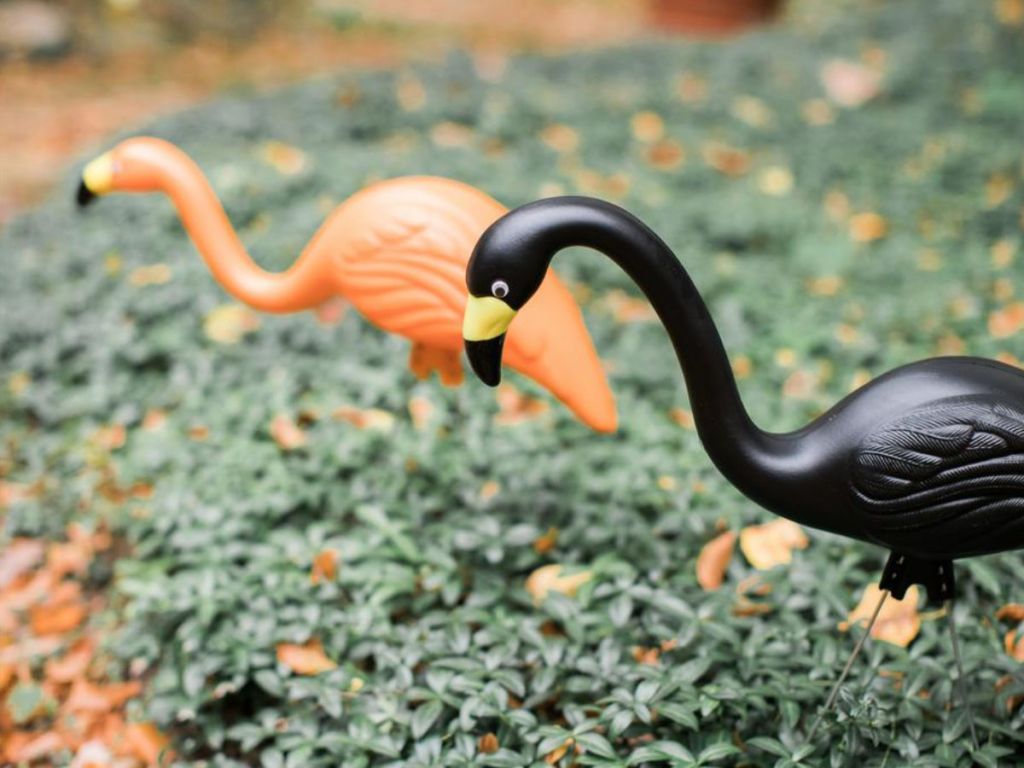 Bloem Spooky Flamingo Plastic Halloween Yard Decor Orange and Black in the yard