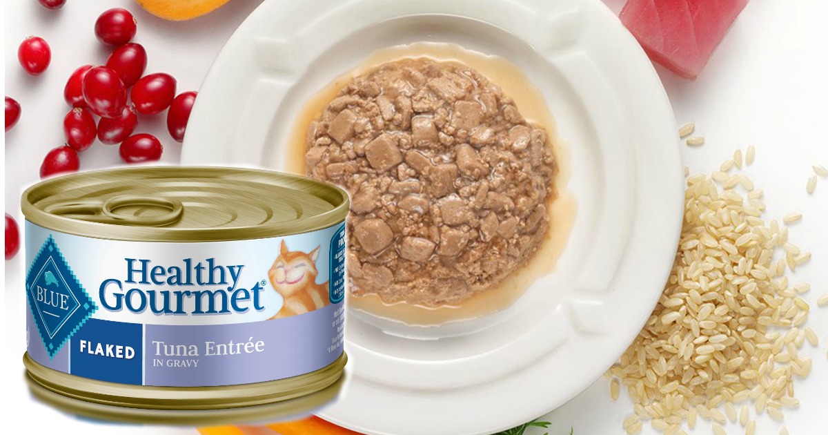 Blue Buffalo Wet Cat Food 24 Count Only 15 Shipped At Amazon Just 63 Each Hip2save