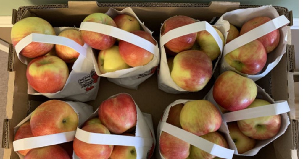 box filled with bags of apples