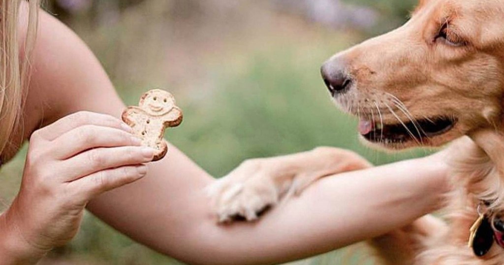 woman holding treat out for dog