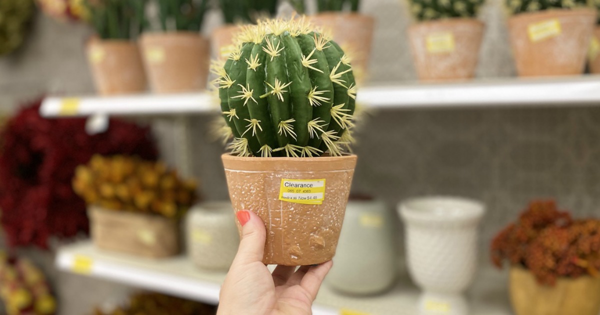 Cute Cactus Plant at Target