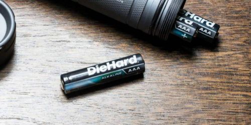 DieHard Alkaline Batteries 24-Count Only $3.49 at Sears (Regularly $14) + More