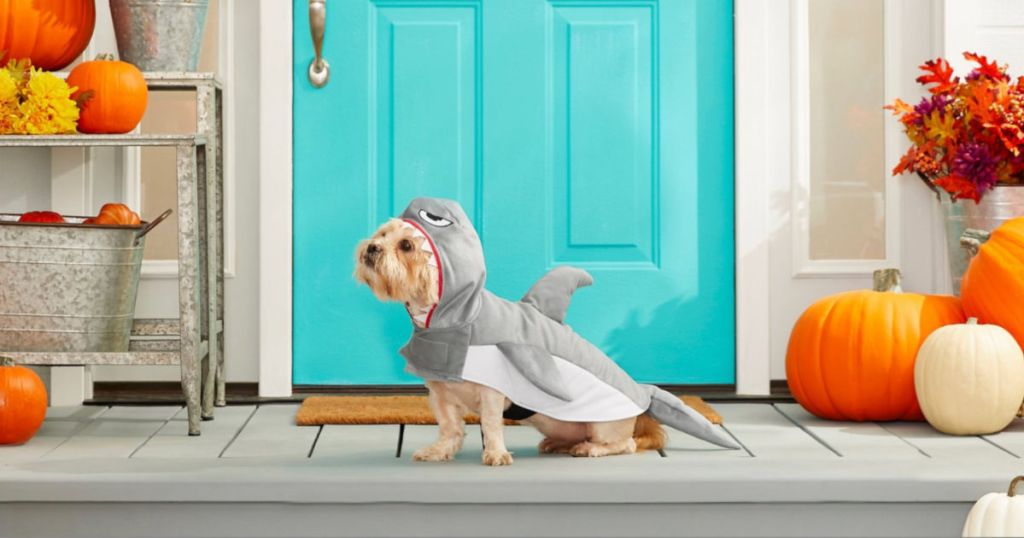 Frisco Great White Shark Dog Costume