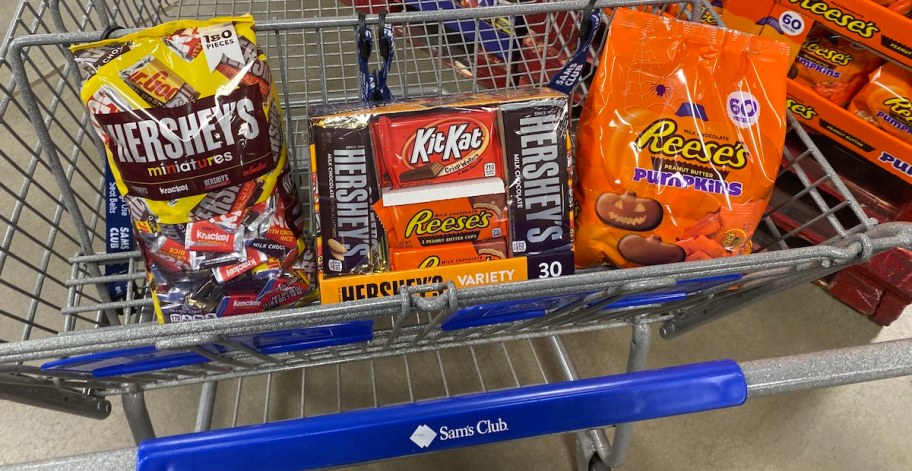 Halloween Candy at Sam's Club in cart