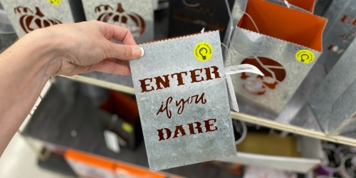 70% Off Halloween Items at Michaels | Home Decor, Costume Kits & More
