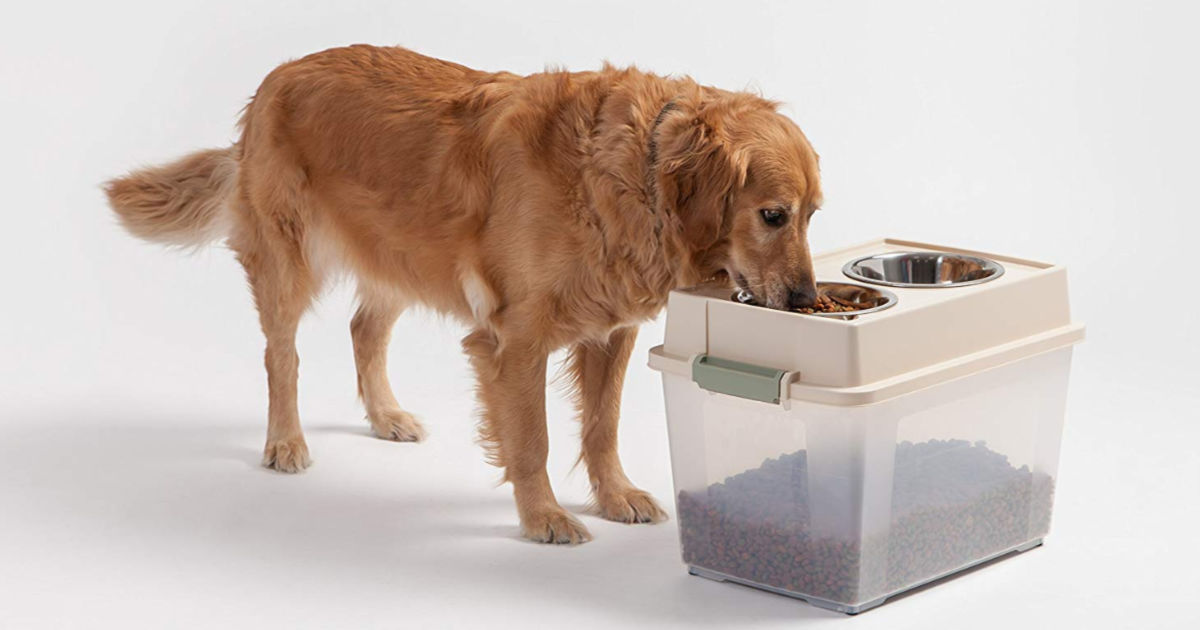 dog eating out of elevated dog bowl feeder