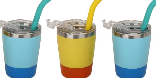 Stainless Steel Kids Cups w/ Straws & Lids 2-Pack Only $11.89 at Amazon