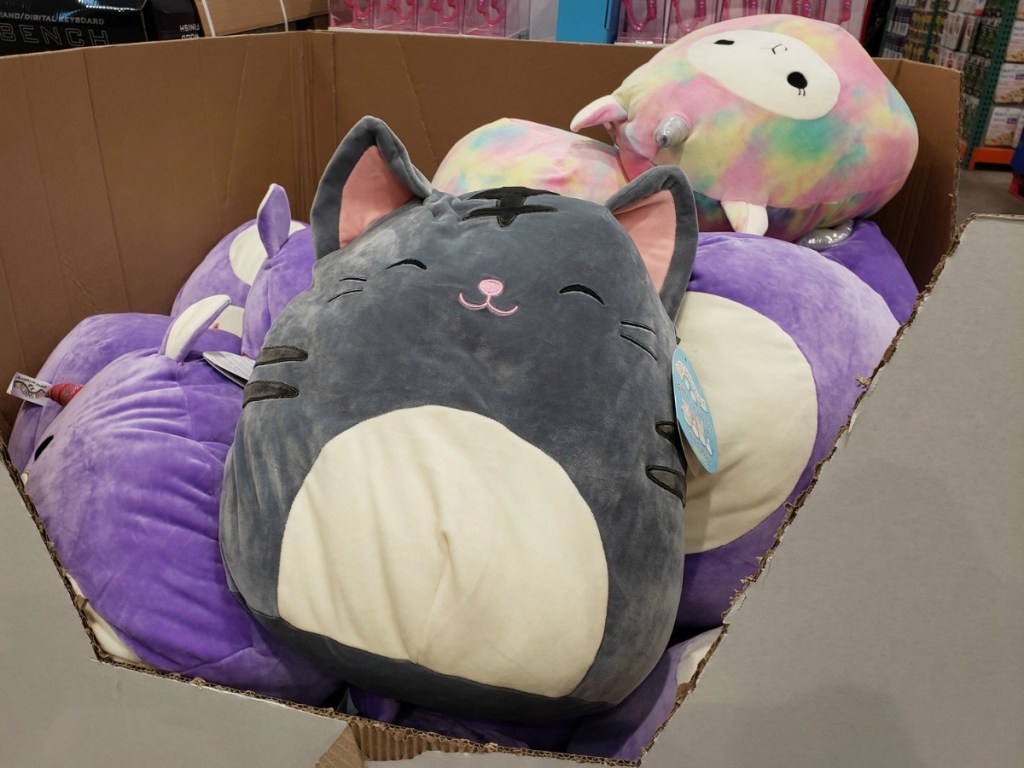 LARGE Squishmallows Plush Only 9 99 Unicorn Kitty Or Llamacorn LARGE Squishmallows Plush Only 9 99 Unicorn Kitty Or Llamacorn