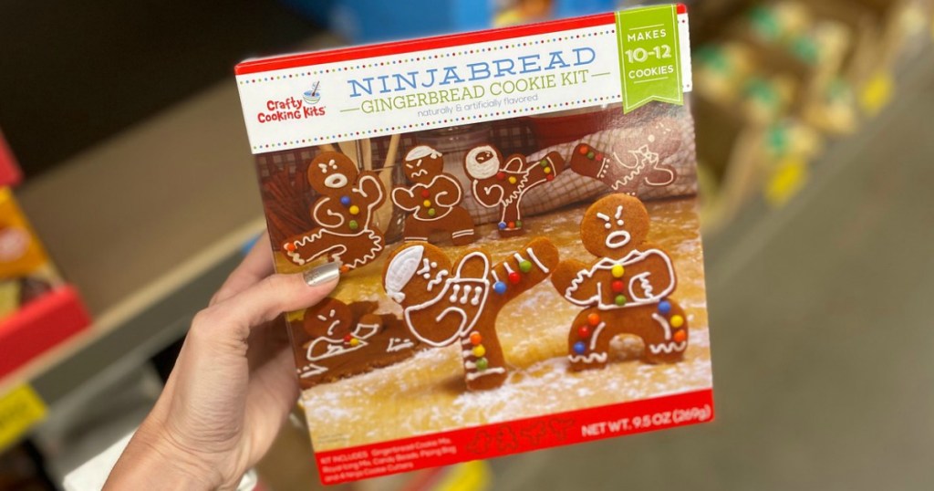 hand holding Ninjabread Cookie Kits