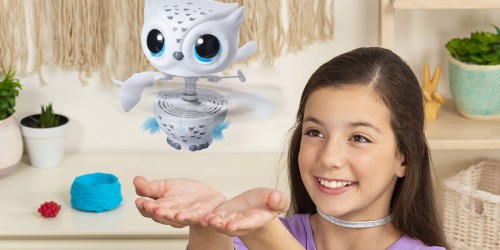 Owleez Interactive Pet Toy Just $10 on Amazon (Regularly $50)