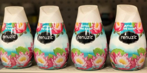 6 Renuzit Air Fresheners Only $3.56 on Walgreens.com | Just 59¢ Each