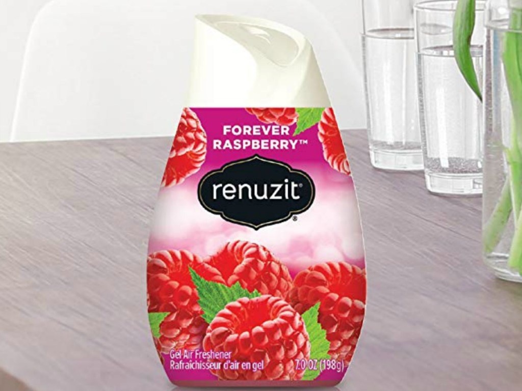 Forever Raspberry Renuzit Air Freshener on table in living room