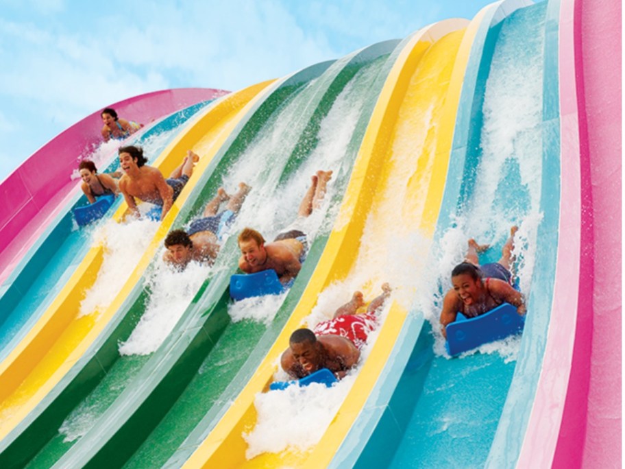 Water Slides at the Aquatica SeaWorld Amusement park