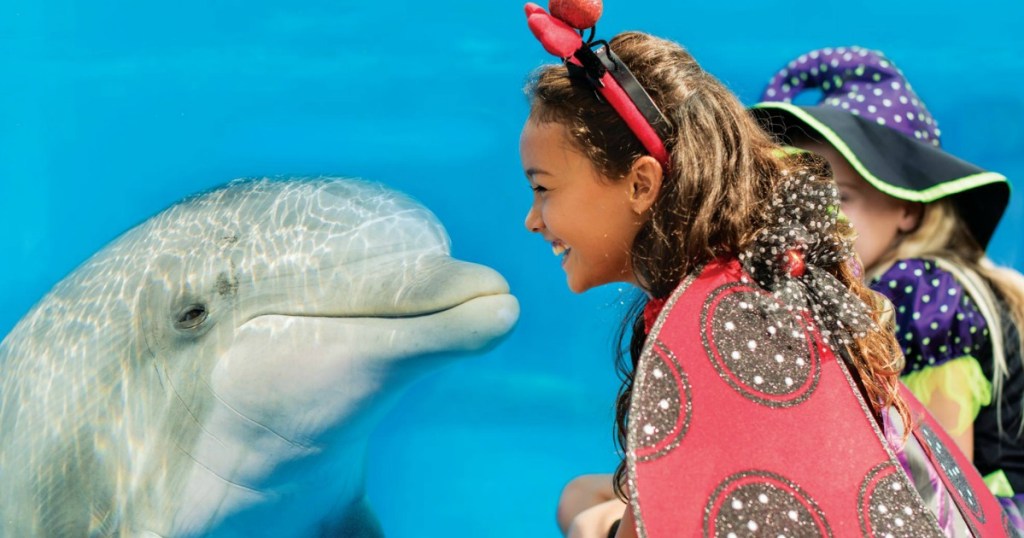 girl looking closely at dolphin